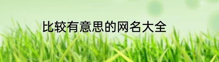比较有意思的网名大全