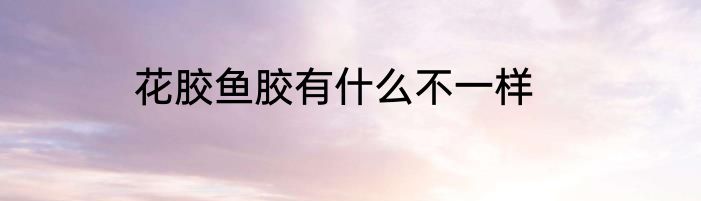 花胶鱼胶有什么不一样