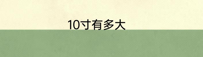 10寸有多大