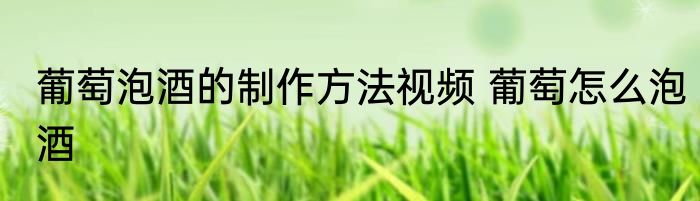 葡萄泡酒的制作方法视频 葡萄怎么泡酒