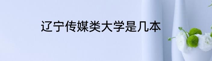 辽宁传媒类大学是几本