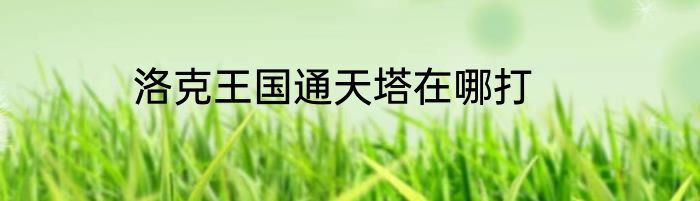 洛克王国通天塔在哪打