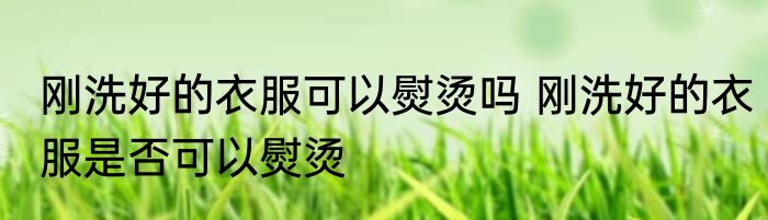 刚洗好的衣服可以熨烫吗 刚洗好的衣服是否可以熨烫