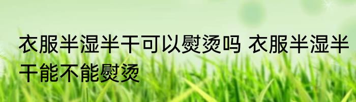 衣服半湿半干可以熨烫吗 衣服半湿半干能不能熨烫