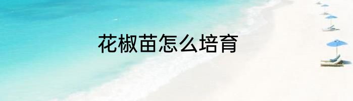 花椒苗怎么培育