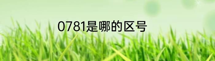 0781是哪的区号