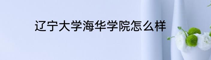 辽宁大学海华学院怎么样