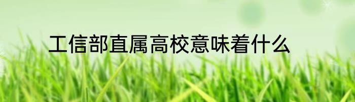 工信部直属高校意味着什么