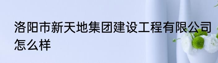 洛阳市新天地集团建设工程有限公司怎么样