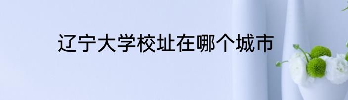辽宁大学校址在哪个城市