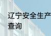 辽宁安全生产监督管理局焊工证怎么查询