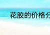 花胶的价格分析花胶多少钱一斤