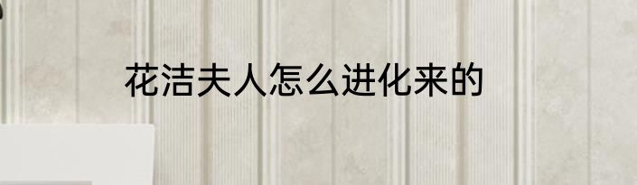 花洁夫人怎么进化来的