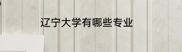 辽宁大学有哪些专业