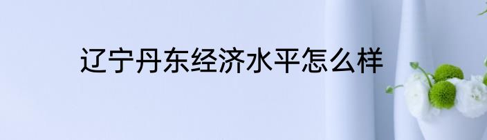 辽宁丹东经济水平怎么样