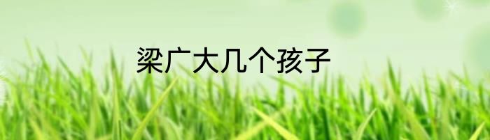 梁广大几个孩子