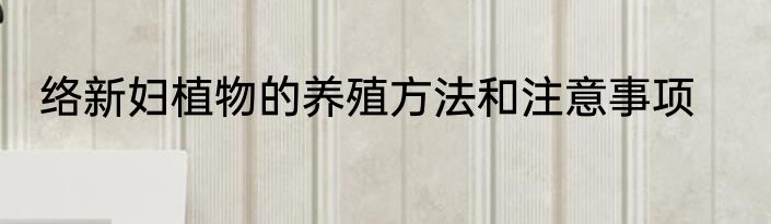 络新妇植物的养殖方法和注意事项