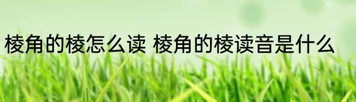 棱角的棱怎么读 棱角的棱读音是什么