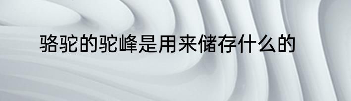 骆驼的驼峰是用来储存什么的