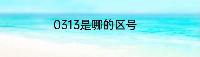 0313是哪的区号