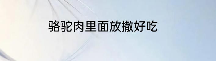 骆驼肉里面放撒好吃