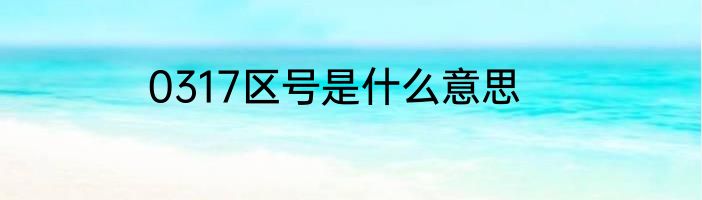 0317区号是什么意思