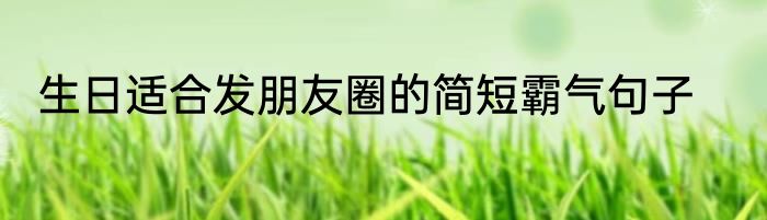 生日适合发朋友圈的简短霸气句子