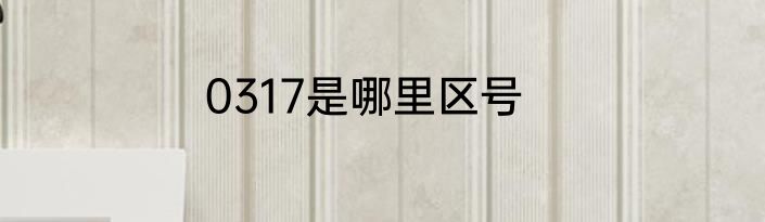 0317是哪里区号