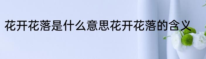 花开花落是什么意思花开花落的含义