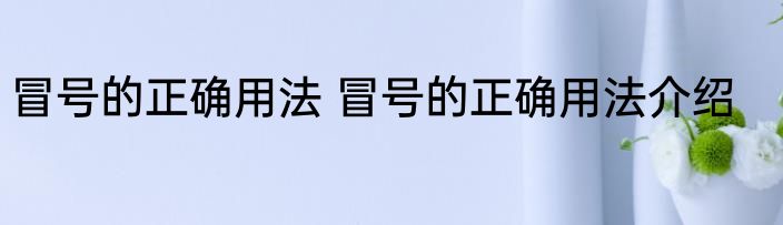 冒号的正确用法 冒号的正确用法介绍