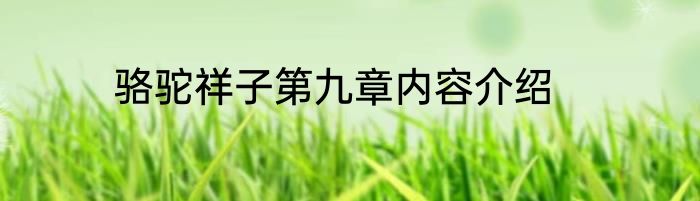 骆驼祥子第九章内容介绍
