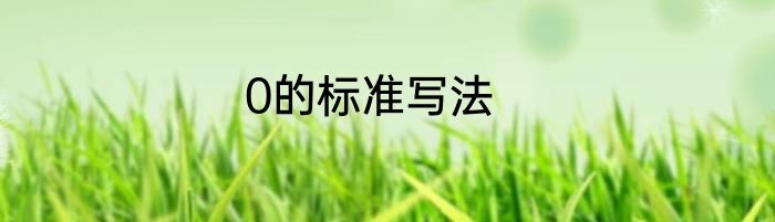 0的标准写法