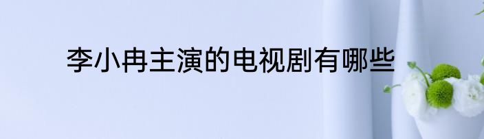 李小冉主演的电视剧有哪些