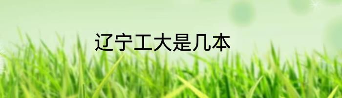 辽宁工大是几本