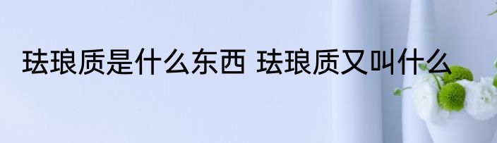 珐琅质是什么东西 珐琅质又叫什么
