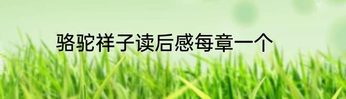 骆驼祥子读后感每章一个