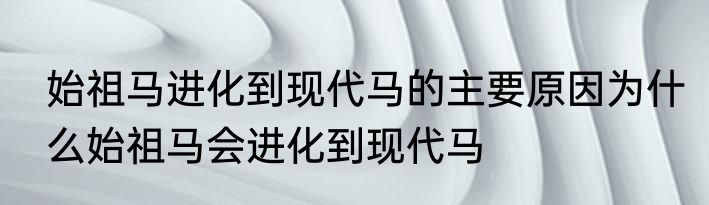 始祖马进化到现代马的主要原因为什么始祖马会进化到现代马
