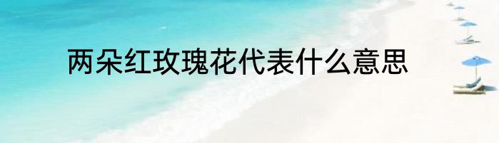 两朵红玫瑰花代表什么意思