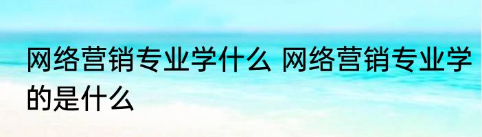 网络营销专业学什么 网络营销专业学的是什么