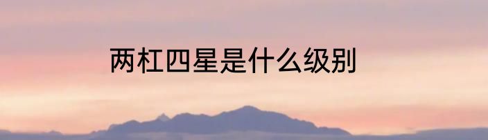两杠四星是什么级别
