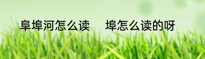 阜埠河怎么读 　埠怎么读的呀
