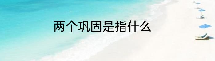 两个巩固是指什么
