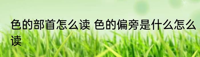 色的部首怎么读 色的偏旁是什么怎么读