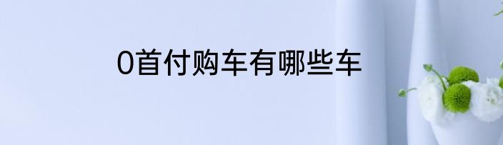 0首付购车有哪些车