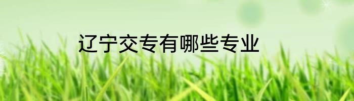 辽宁交专有哪些专业