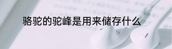 骆驼的驼峰是用来储存什么