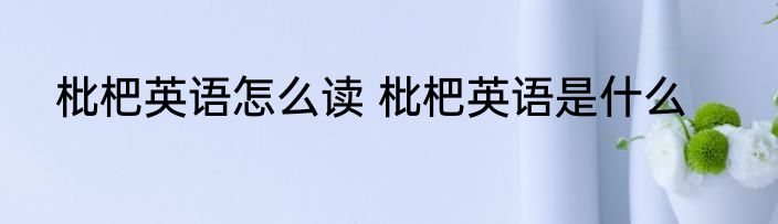 枇杷英语怎么读 枇杷英语是什么