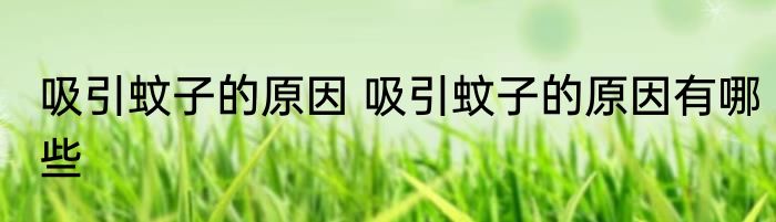 吸引蚊子的原因 吸引蚊子的原因有哪些