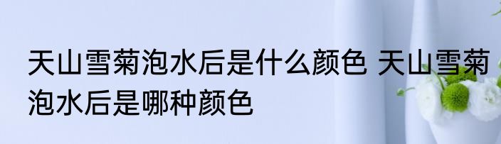 天山雪菊泡水后是什么颜色 天山雪菊泡水后是哪种颜色
