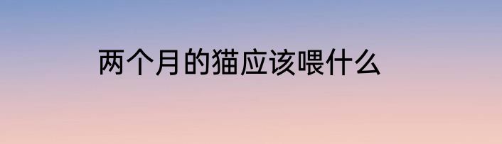 两个月的猫应该喂什么